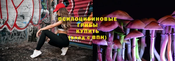 PSILOCYBIN Абаза